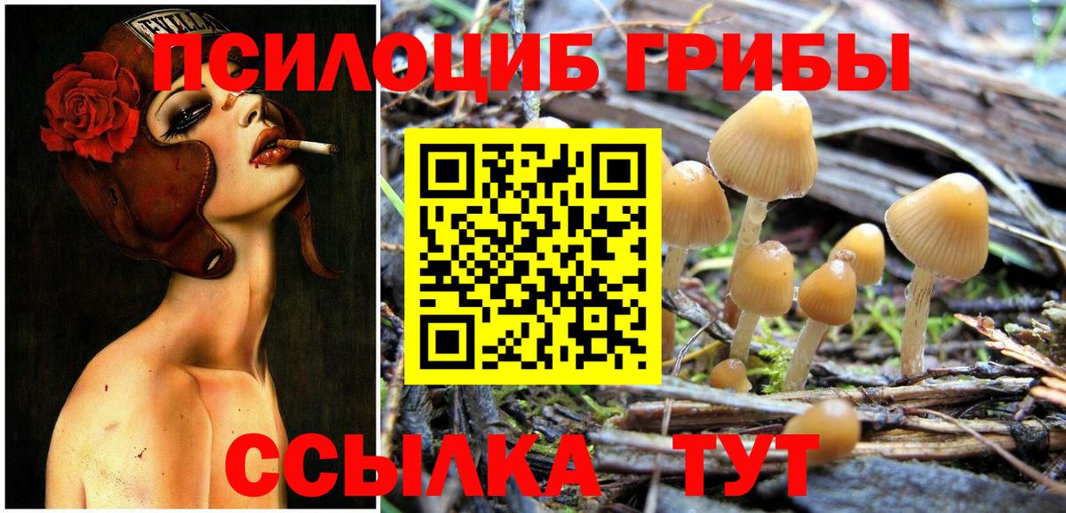 Галлюциногенные грибы ЛСД Самара