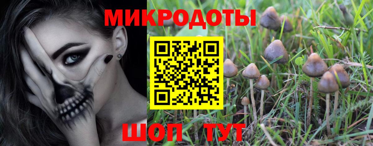 Галлюциногенные грибы Psilocybine cubensis  Вход с VPN  Самара  Галлюциногенные грибы мухоморы 